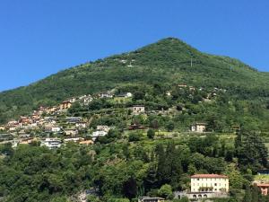 IMG 0079